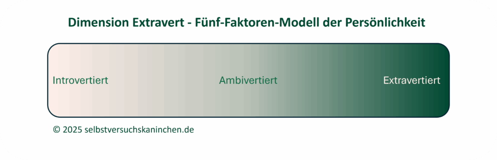 Die Dimension Extravert: Zwei Extreme und die Mitte beim Persönlichkeitsmodell