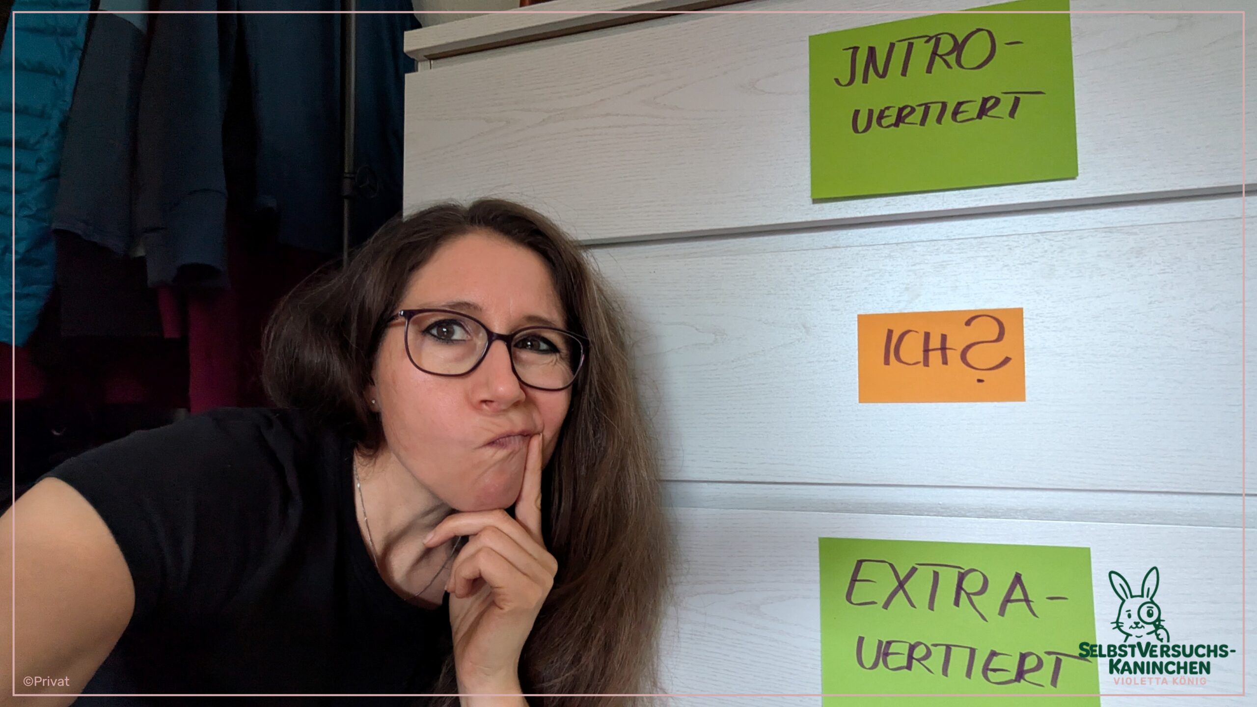 🌀 Bist Du ein Ambivert – ein Ambi…was?